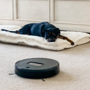 Battling Pet Hair Unleashing the Power of Robot Vacuums