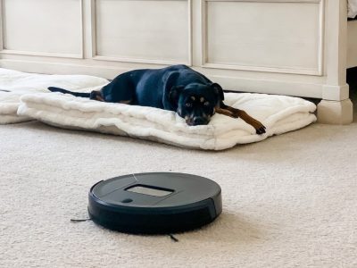 Battling Pet Hair Unleashing the Power of Robot Vacuums