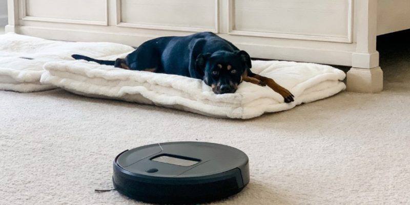 Battling Pet Hair Unleashing the Power of Robot Vacuums